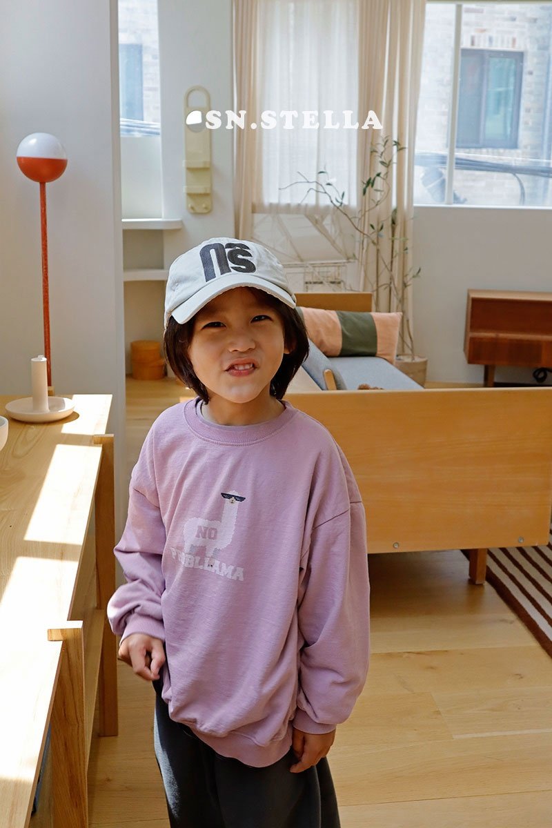 Little Foxx – Llama Sweatshirt