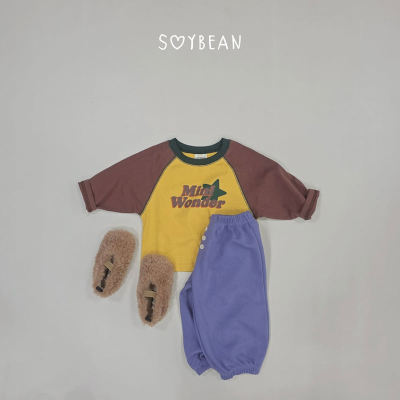 Little Foxx – Mini Wonder Raglan Tee
