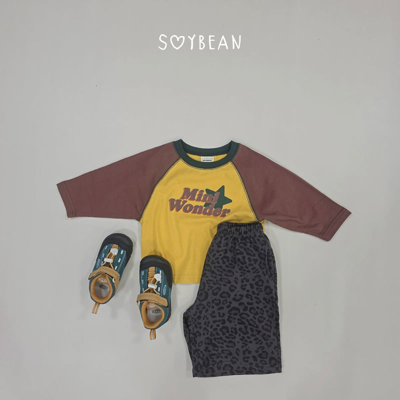 Little Foxx – Mini Wonder Raglan Tee