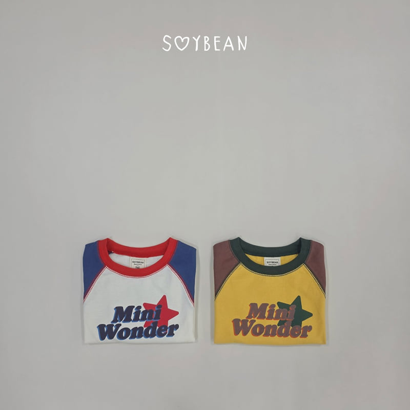Little Foxx – Mini Wonder Raglan Tee