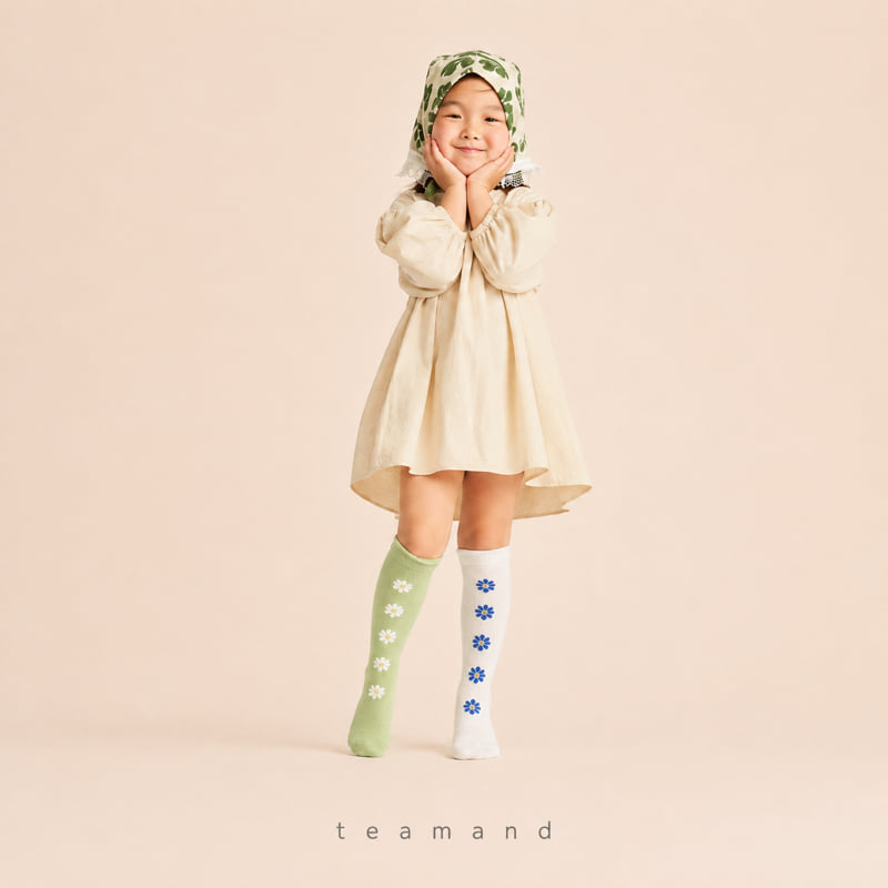 Little Foxx – Alice Knee Sock Set