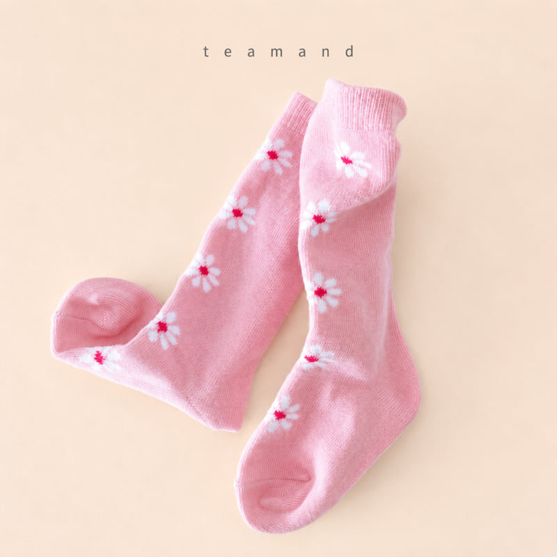 Little Foxx – Alice Knee Sock Set