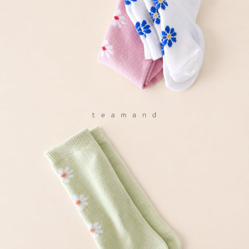 Little Foxx – Alice Knee Sock Set
