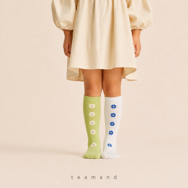 Little Foxx – Alice Knee Sock Set