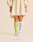 Little Foxx – Alice Knee Sock Set