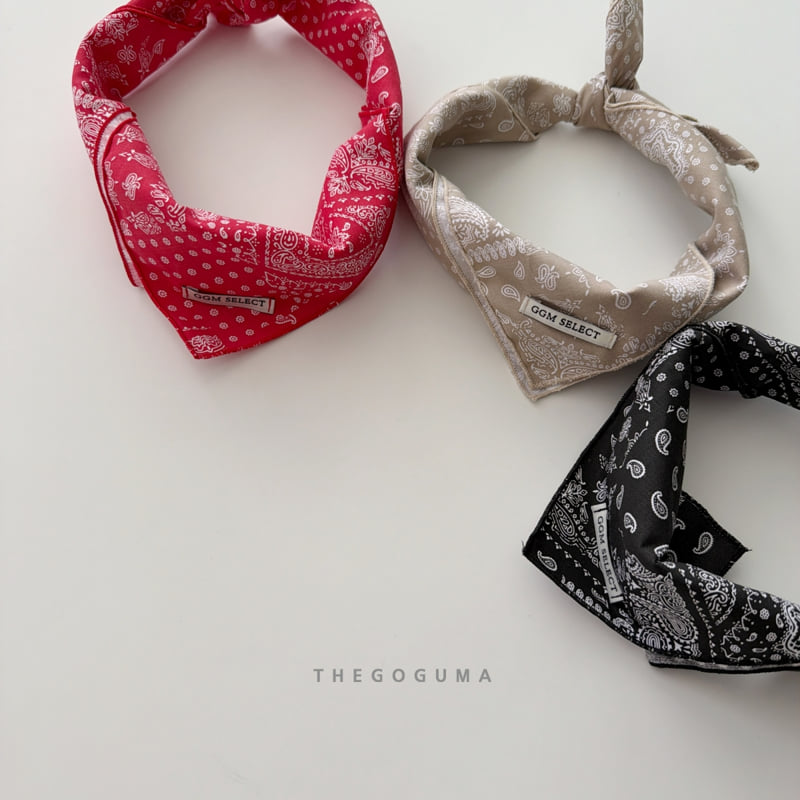 Little Foxx – Paisley Scarf