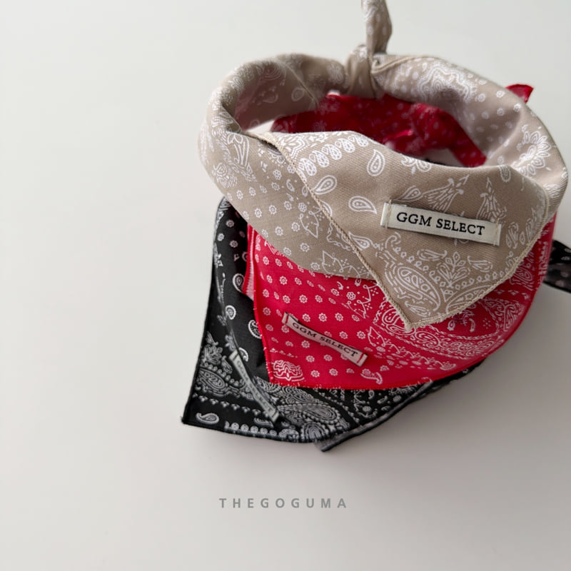 Little Foxx – Paisley Scarf