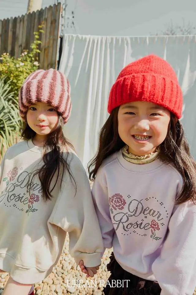 Little Foxx – Rosie Raglan Sweatshirt
