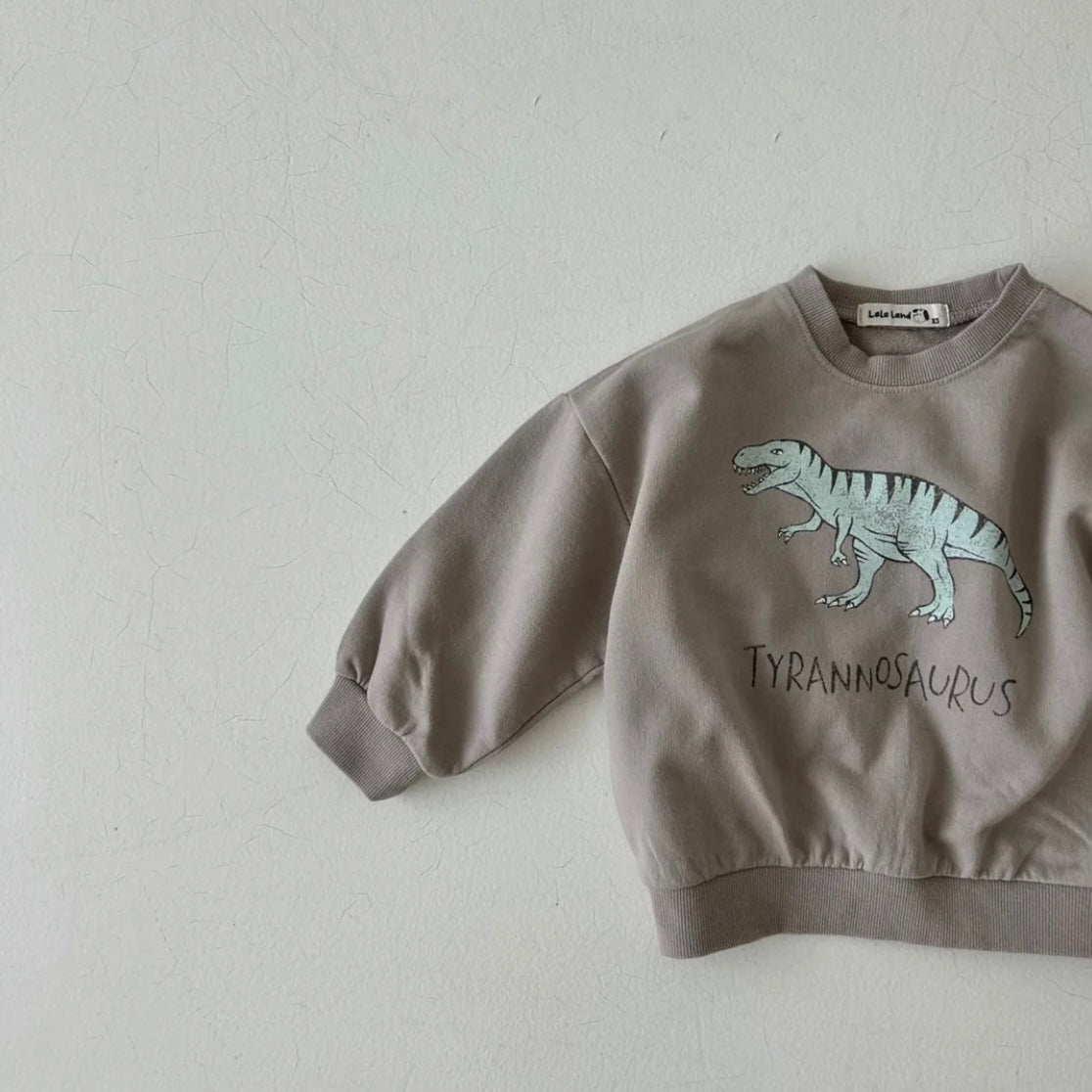 Dino Sweatshirt find Stylish Fashion for Little People- at Little Foxx Concept Store