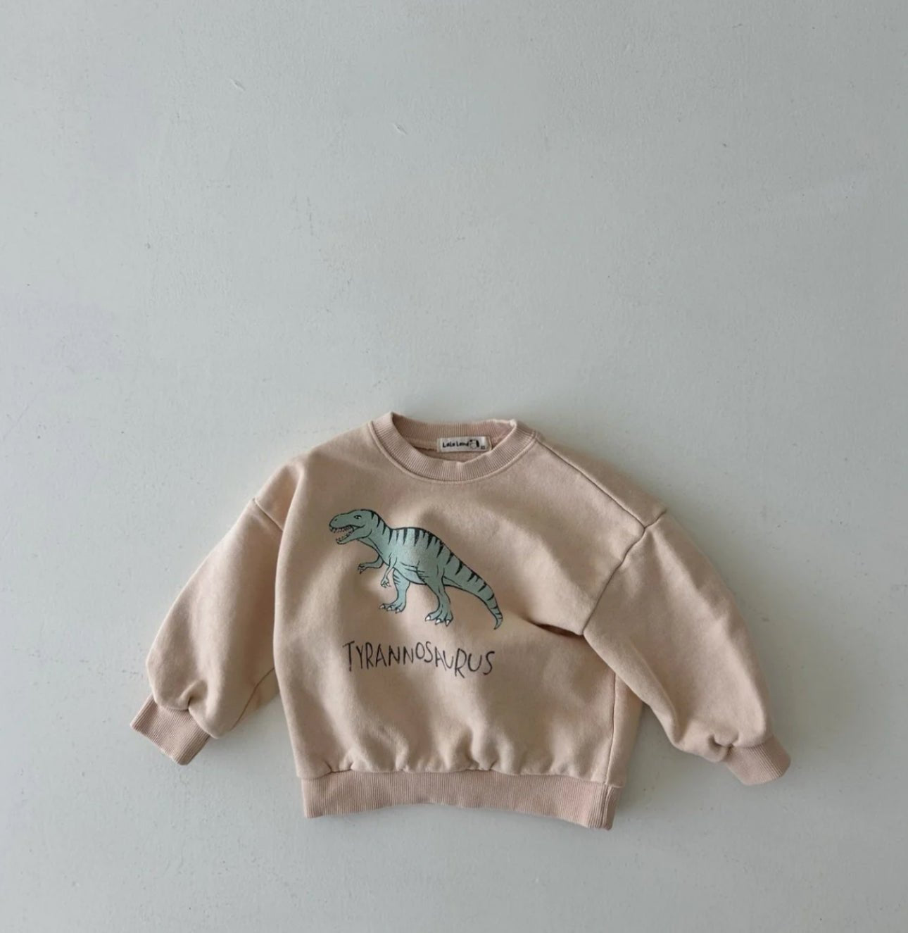 Dinosaur Sweatshirt find Stylish Fashion for Little People- at Little Foxx Concept Store