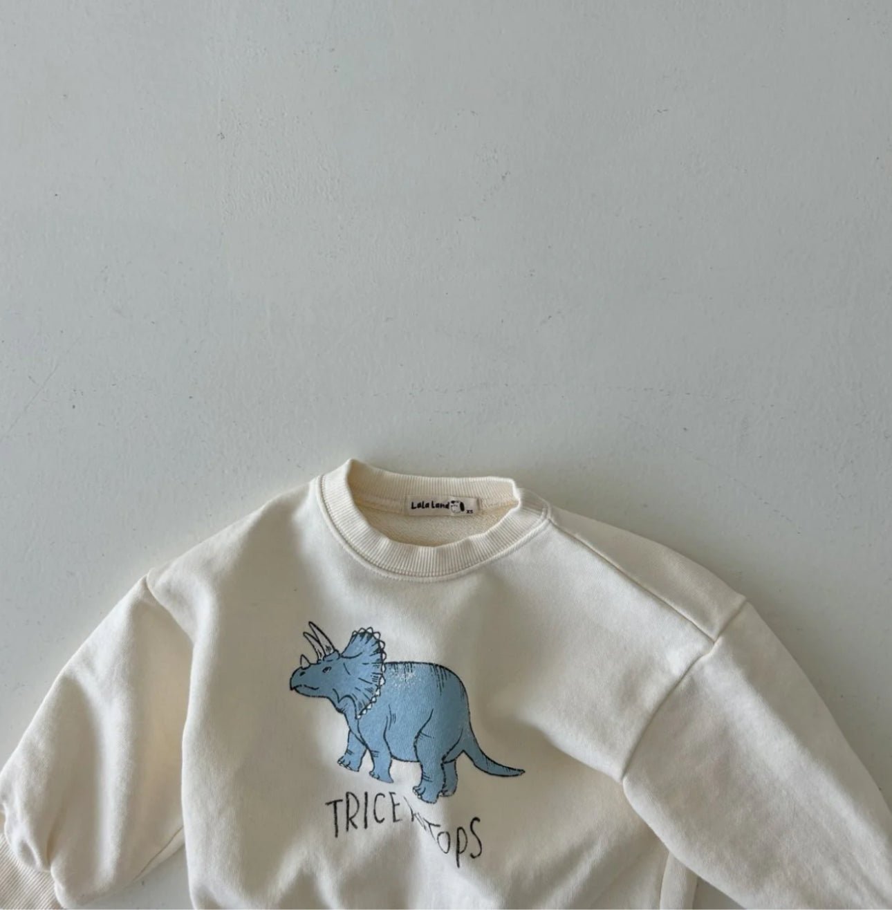Dinosaur Sweatshirt find Stylish Fashion for Little People- at Little Foxx Concept Store