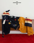 Little Foxx – Colorful Beanie